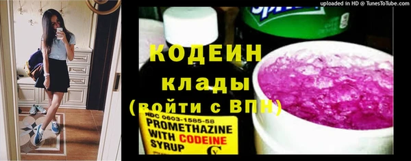 шишки Лабытнанги