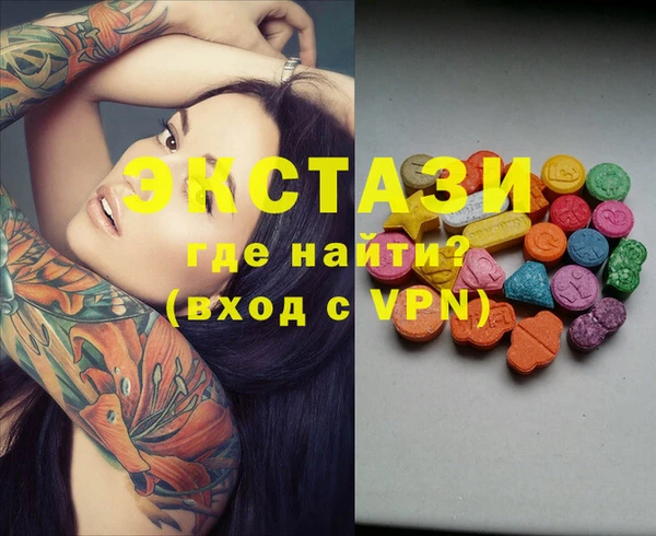 шишки Лабытнанги