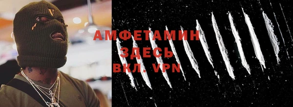 шишки Лабытнанги
