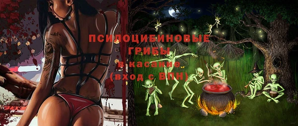 ешки Лагань