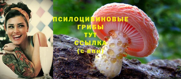 spice Лихославль