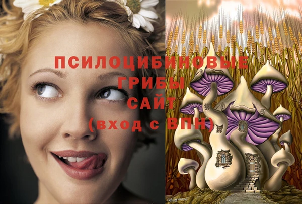 mdpv Слюдянка