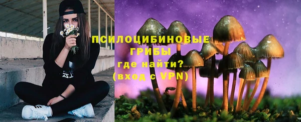 шишки Лабытнанги