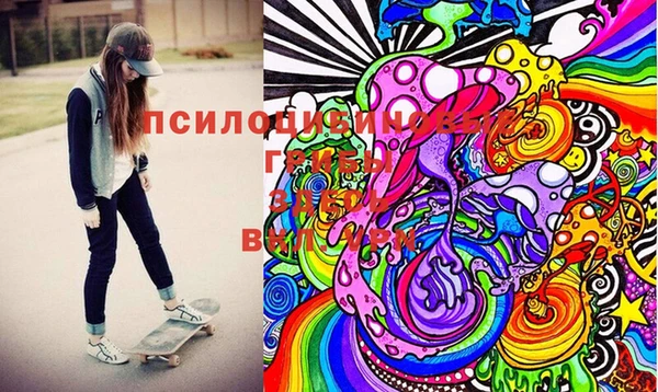 шишки Лабытнанги