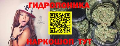 apvp Краснознаменск
