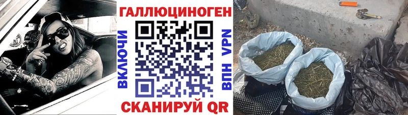Псилоцибиновые грибы прущие грибы  Новоалександровск 