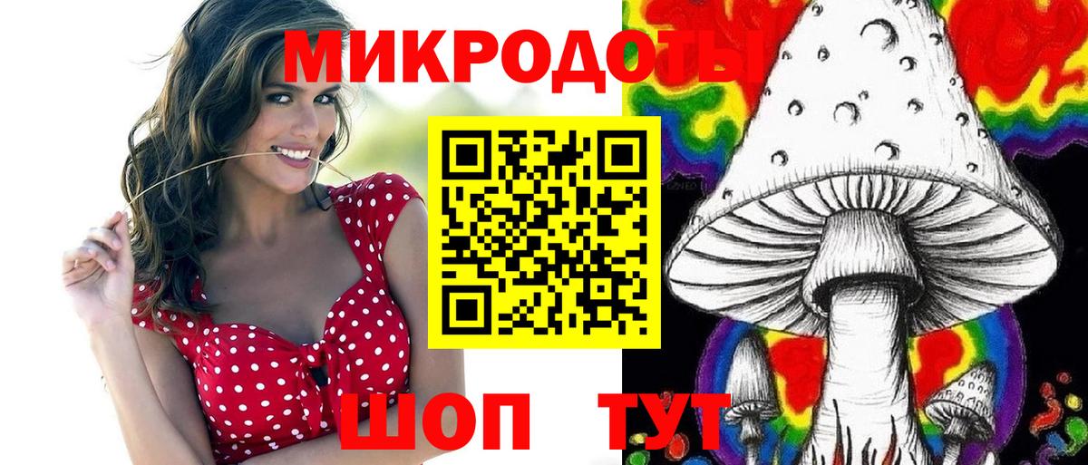 Псилоцибиновые грибы Cubensis  Вход с VPN  Новоалександровск  Галлюциногенные грибы мицелий 